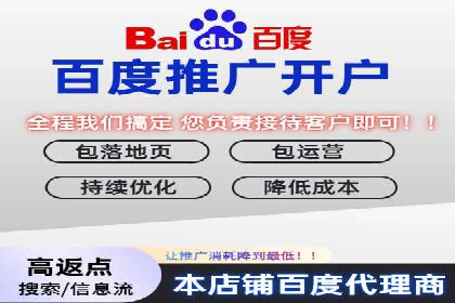 谷歌竞价广告的投放策略与成功案例分析